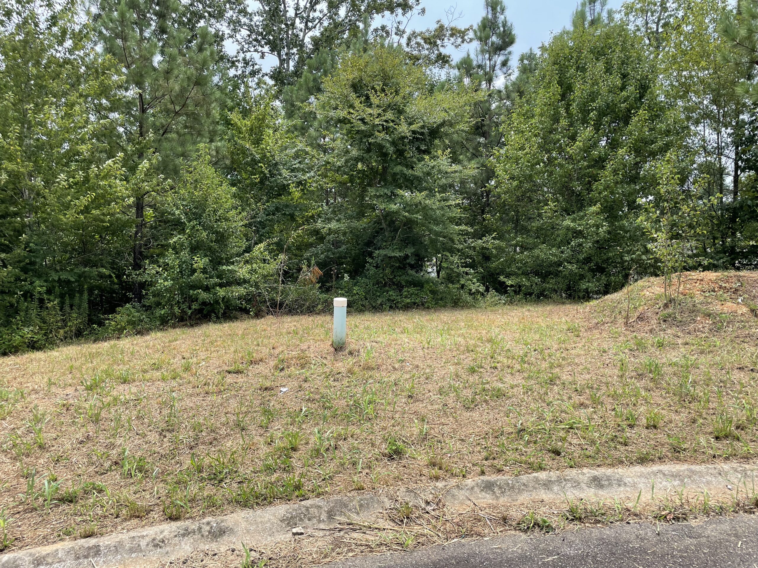 4 Lots In Adairsville F. Willis, Realty