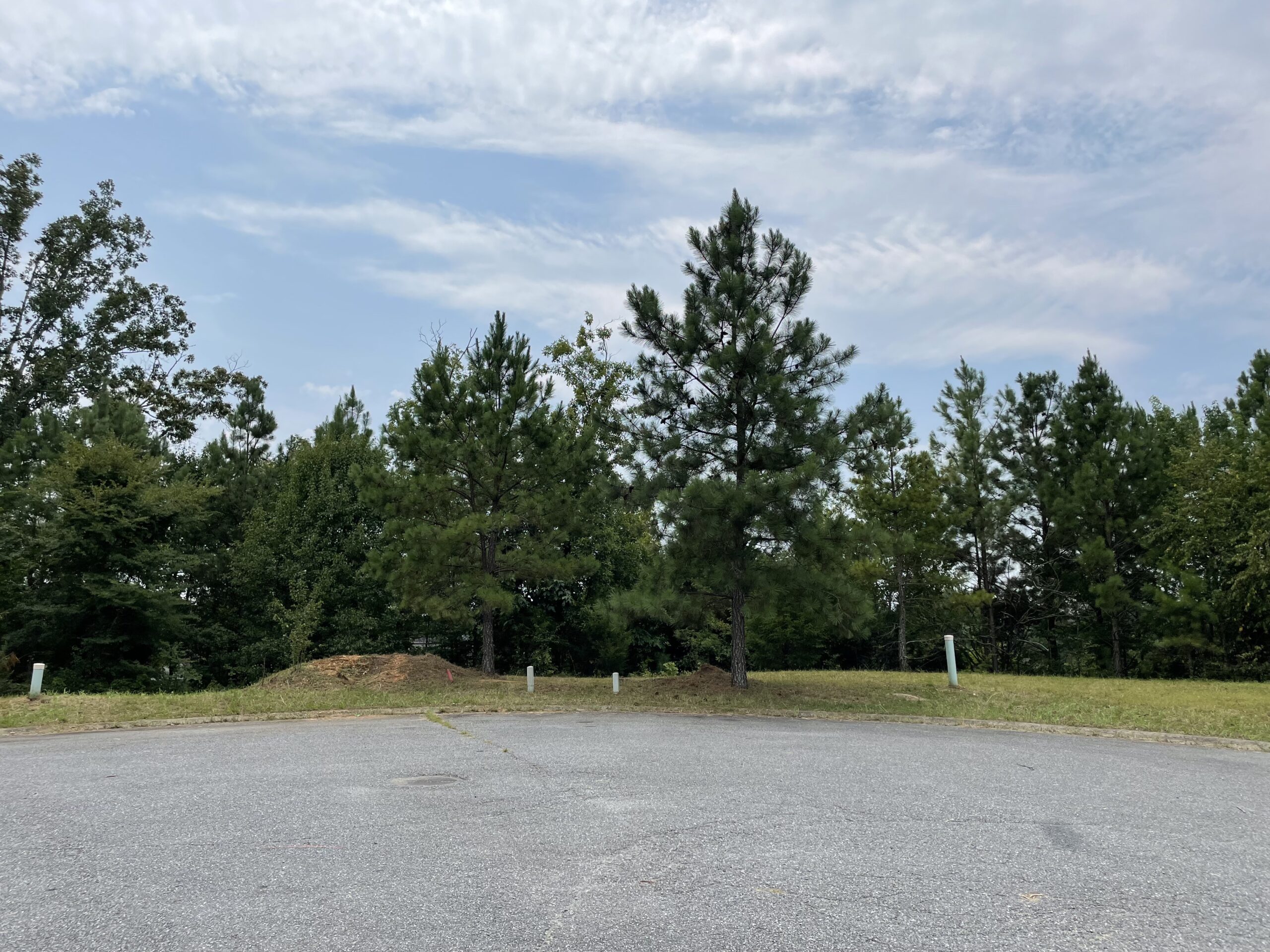 4 Lots In Adairsville F. Willis, Realty