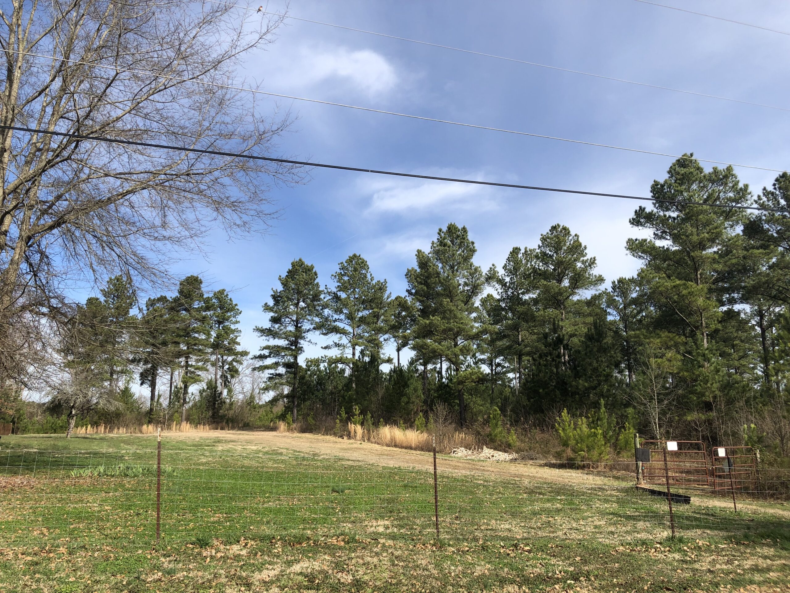 187.65 +/ Wooded Acres Floyd County F. Willis, Realty