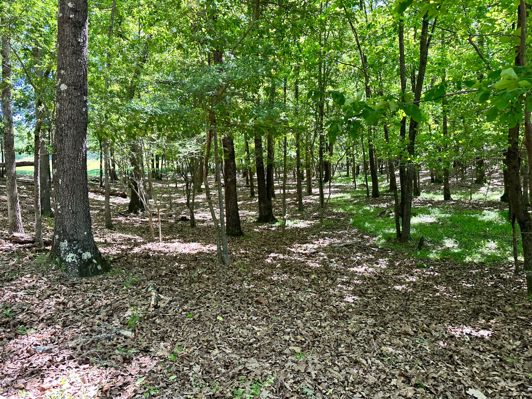 SOLD! 193.76 +/ Acres Bartow County, GA 2 Ponds, Fenced and Crossed