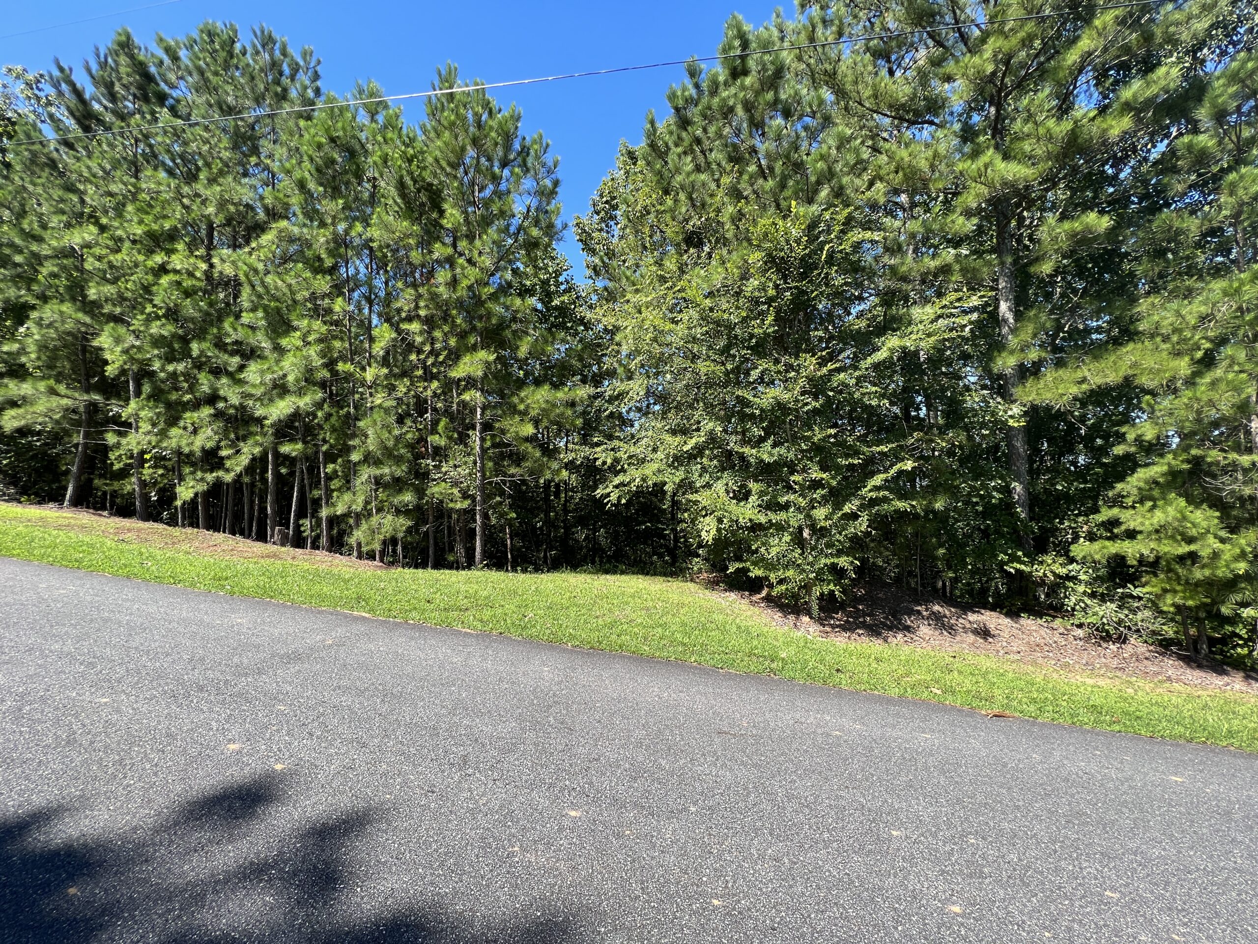 LAKE ALLATOONA LOT F. Willis, Realty