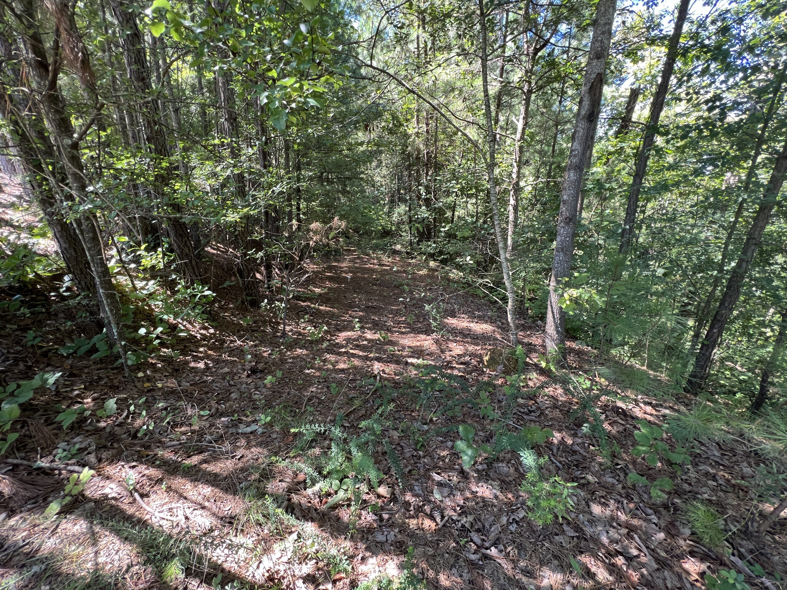 LAKE ALLATOONA LOT F. Willis, Realty