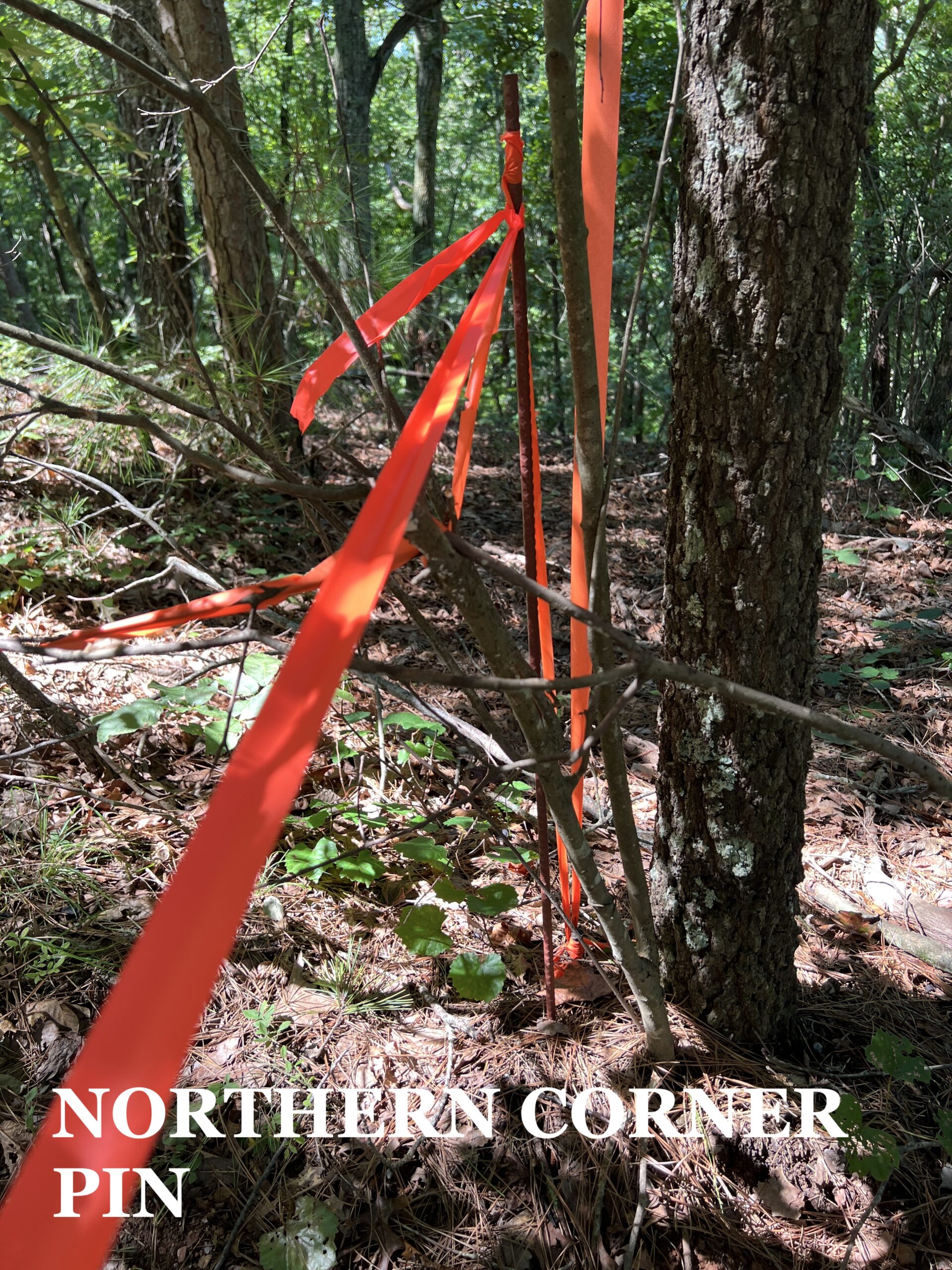 LAKE ALLATOONA LOT F. Willis, Realty