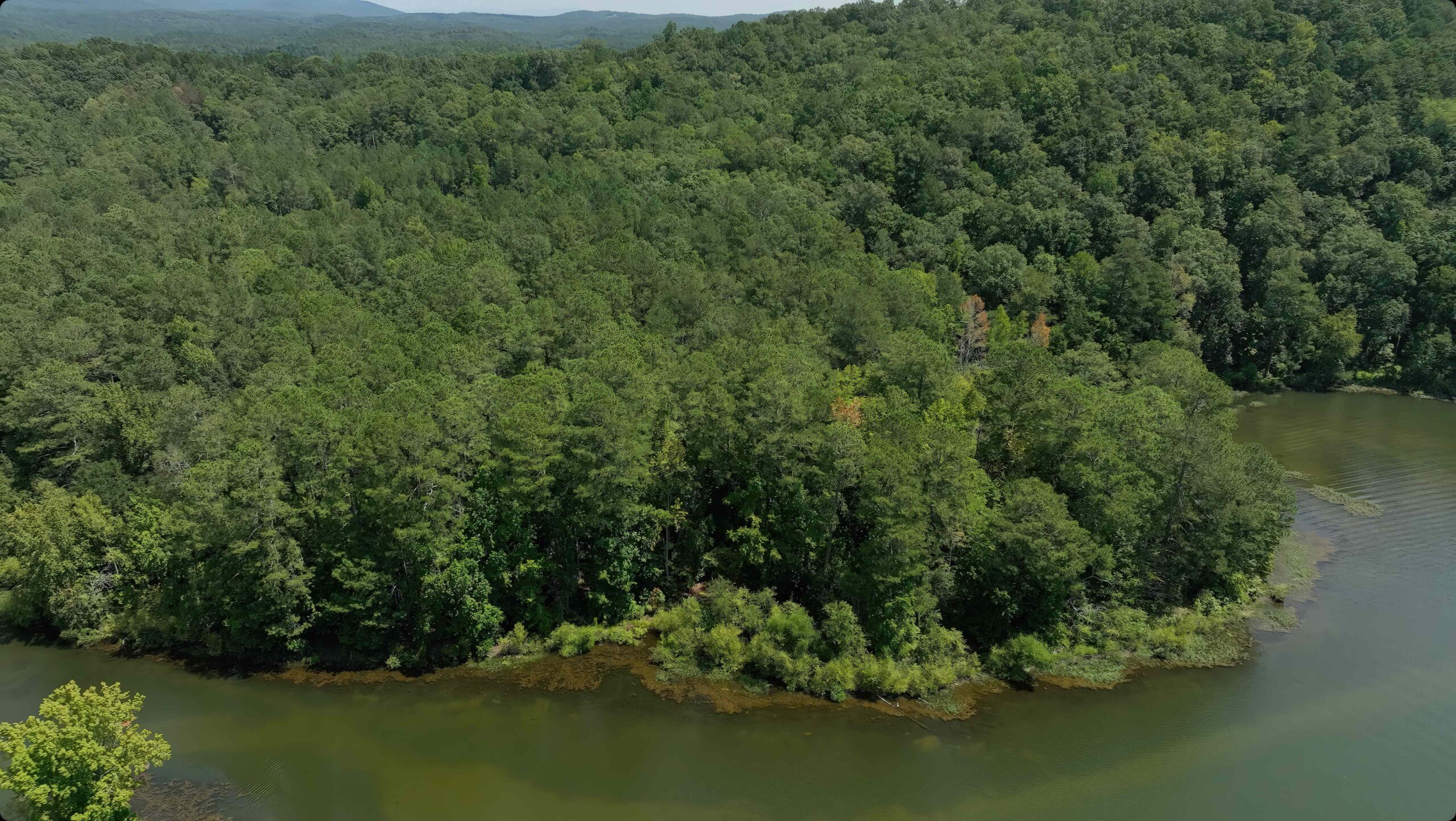 LAKE ALLATOONA LOT F. Willis, Realty