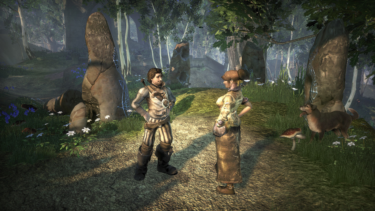 Fable 2 Gry Game Exe