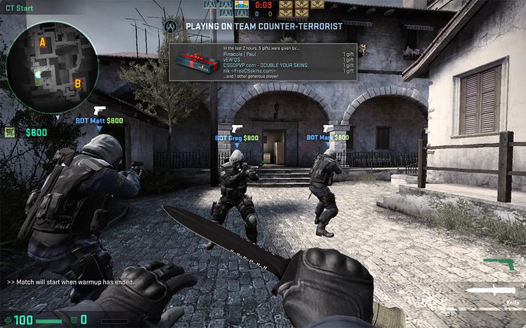 Counter-Strike: Global Offensive (CS:GO)