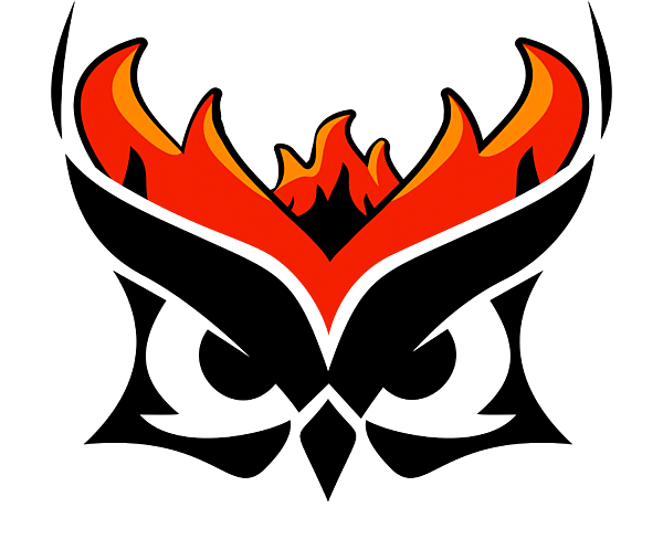 Team BLZ (Blaze Esports) PUBG, roster, matches, statistics