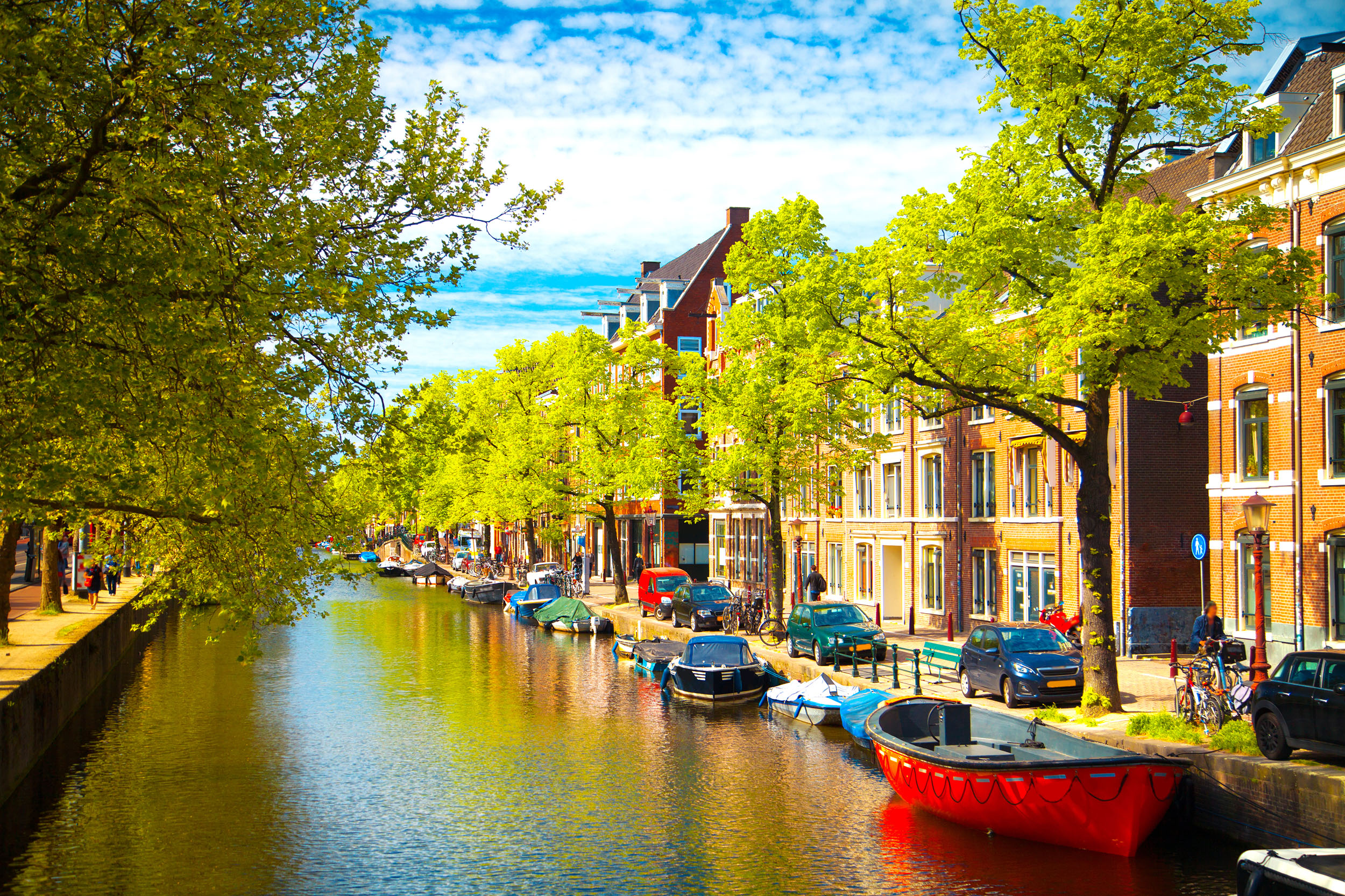Study in Netherlands Study Abroad Agency شركة تأمين قبولات جامعية
