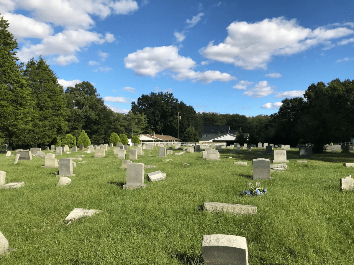 Cemeteries use a lot of space and are terrible for the environment. Is