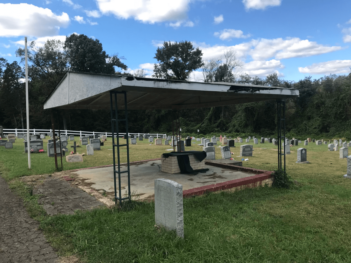 Cemeteries use a lot of space and are terrible for the environment. Is