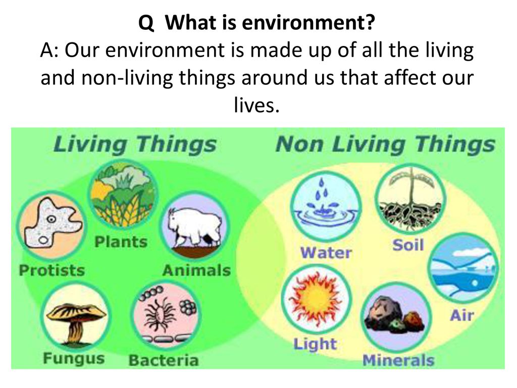SHS Integrated Science Diversity of living and nonliving things 3