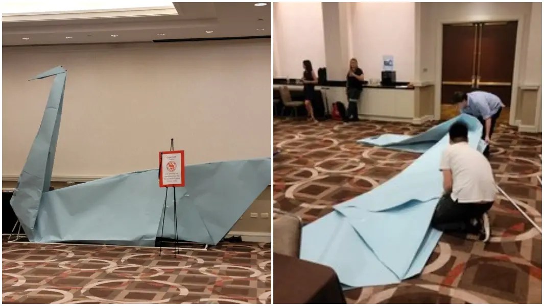 Origami artists break GWR 'swan of a kind' folding record