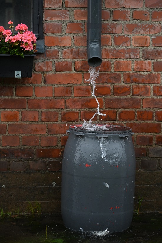 Is It Beneficial To Capture Rainwater?