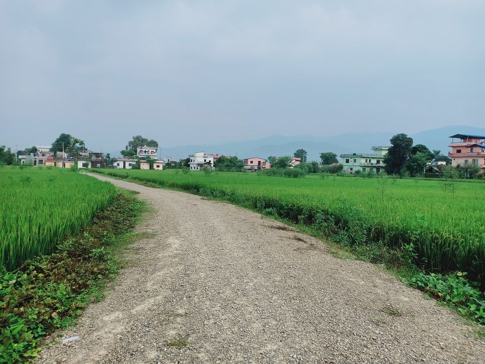Land For Sale In Butwal12, Rupandehi, Nepal The Best Real Estate Solution In Nepal