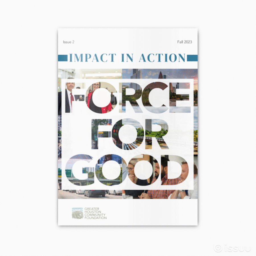 Impact in Action Force For Good Greater Houston Community Foundation