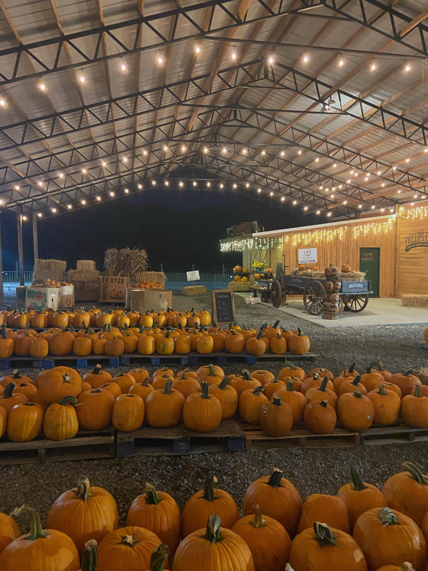 Fun fall farms Top North Carolina farms to visit The GH Falcon
