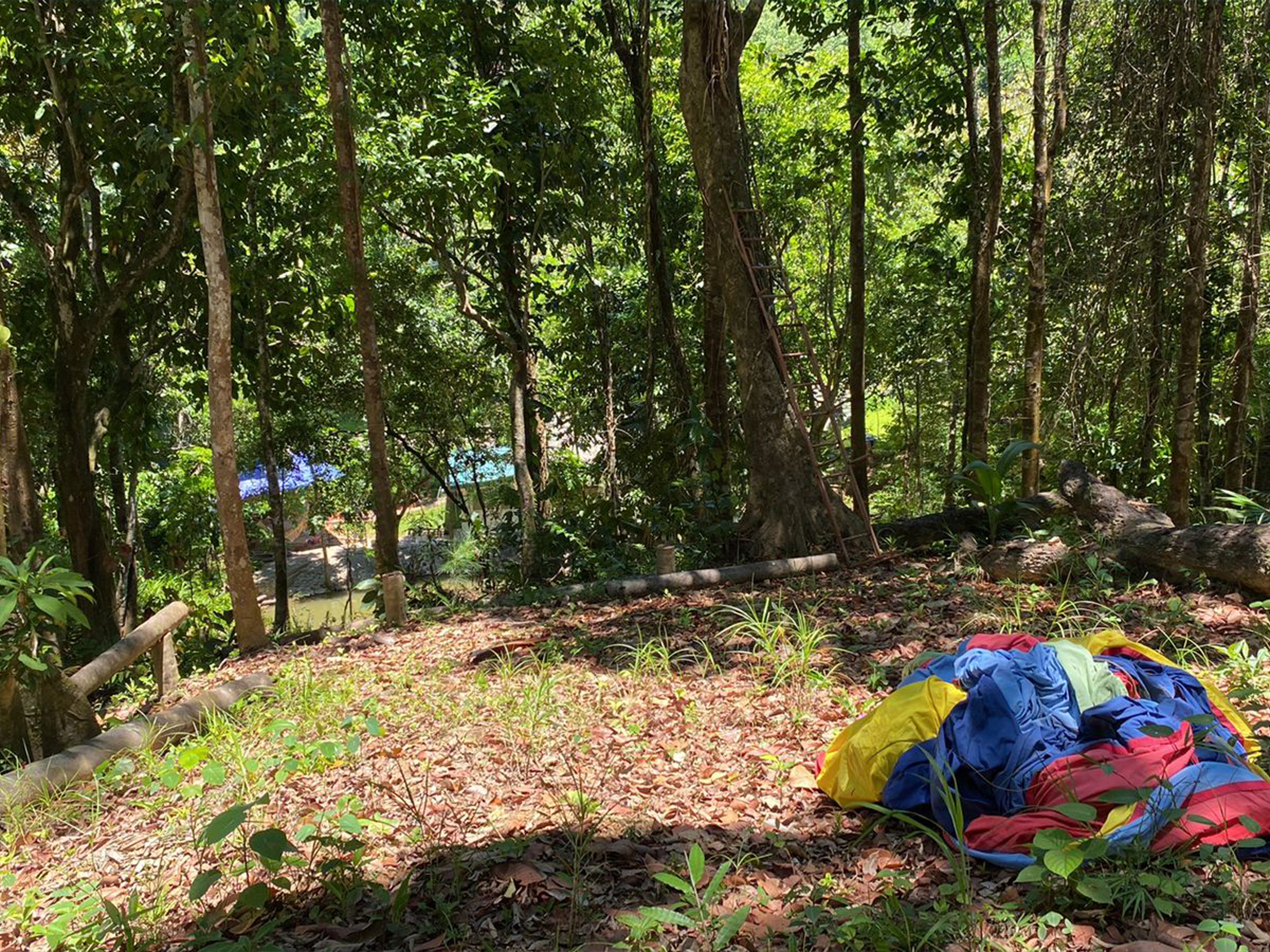 REFORESTRY AND AGROFORESTRY PROJECT GREEN HEART FOUNDATION INC.