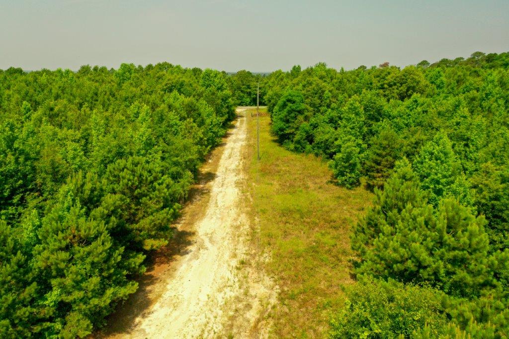 Wilkinson County GA 100 Acres +/ Green Hill Land & Forestry