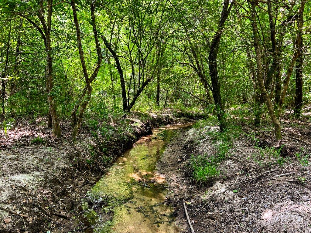 Wilkinson County GA 100 Acres +/ Green Hill Land & Forestry
