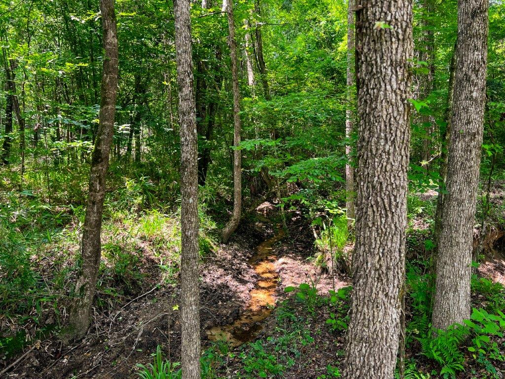 Wilkinson County GA 100 Acres +/ Green Hill Land & Forestry