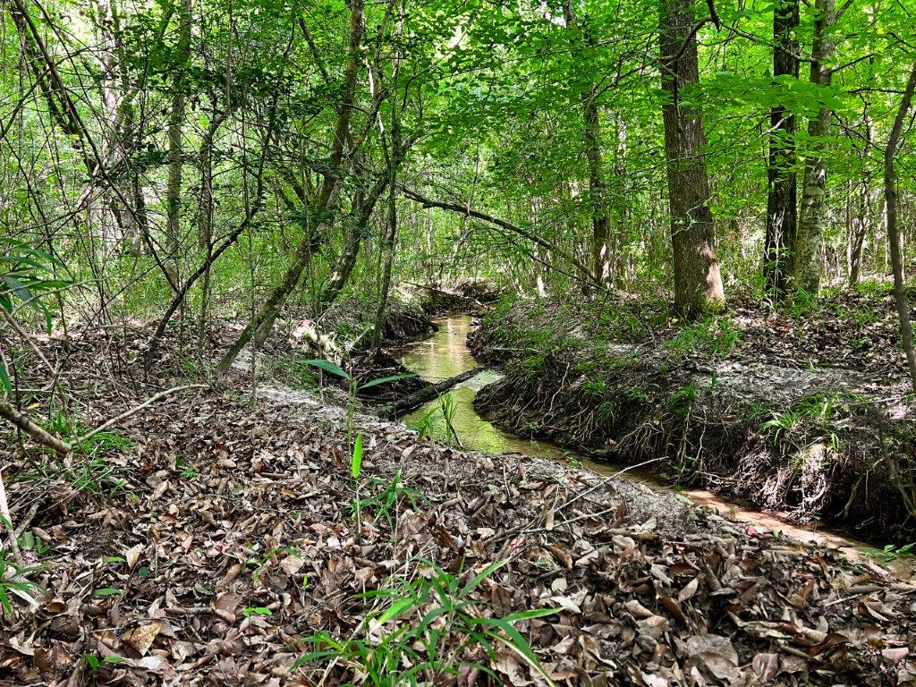 Wilkinson County GA 100 Acres +/ Green Hill Land & Forestry