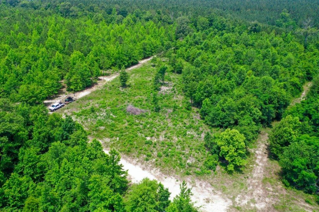 Wilkinson County GA 100 Acres +/ Green Hill Land & Forestry