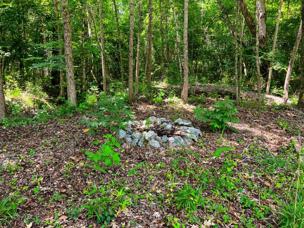 Wilkinson County GA 100 Acres +/ Green Hill Land & Forestry