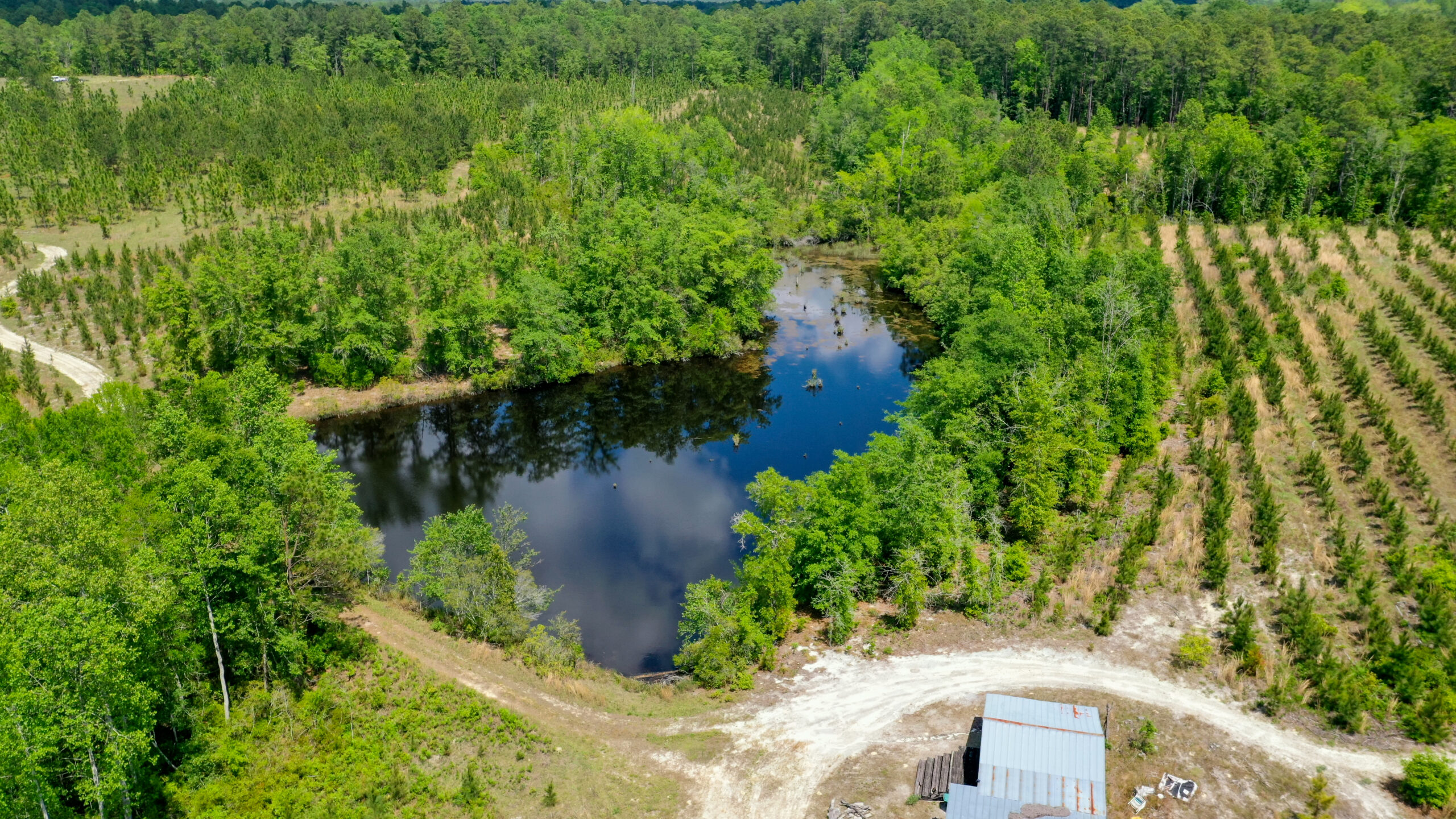 Green Hill Land & Forestry and South Carolina Land For Sale