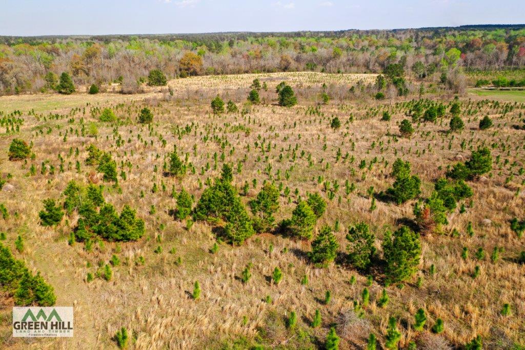 Washington County GA 136 Acres +/ Green Hill Land & Forestry