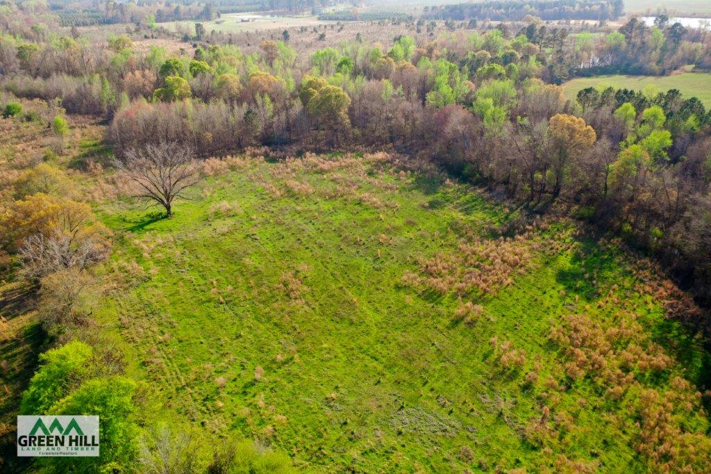 Washington County GA 136 Acres +/ Green Hill Land & Forestry