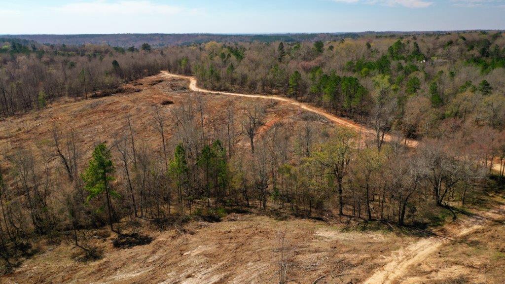 Twiggs County GA 126 Acres +/ Green Hill Land & Timber