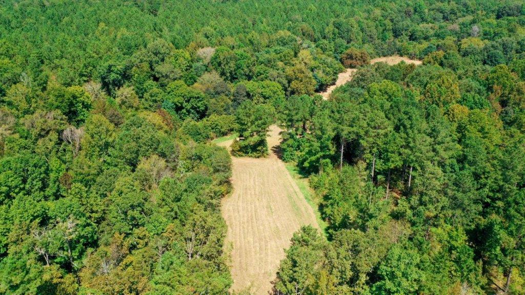 Taliaferro County GA 264 Acres Green Hill Land & Timber