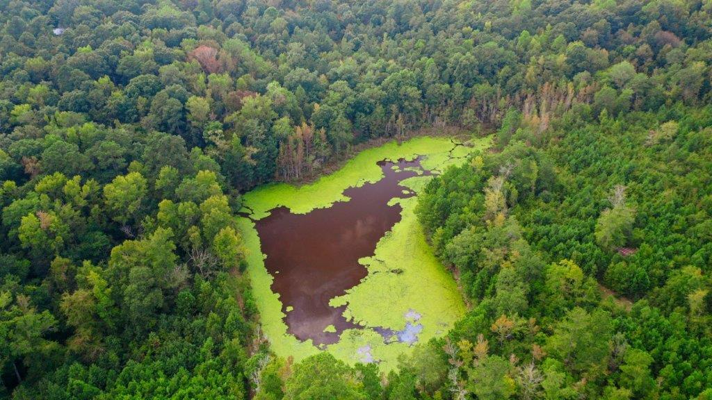 Baldwin County GA 127 Acres +/ Green Hill Land & Timber
