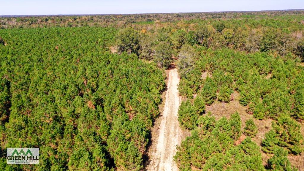 Jenkins County GA 88.5 Acres +/ Green Hill Land & Forestry