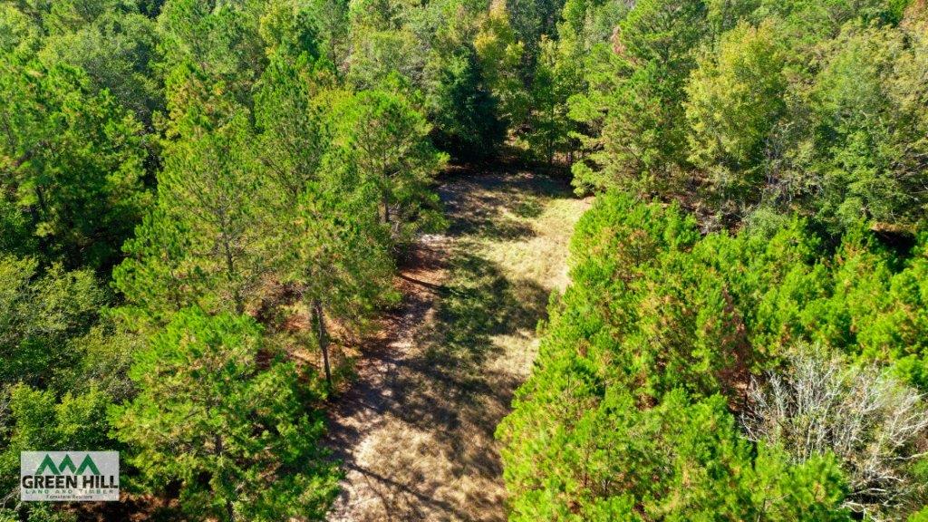Jenkins County GA 88.5 Acres +/ Green Hill Land & Forestry