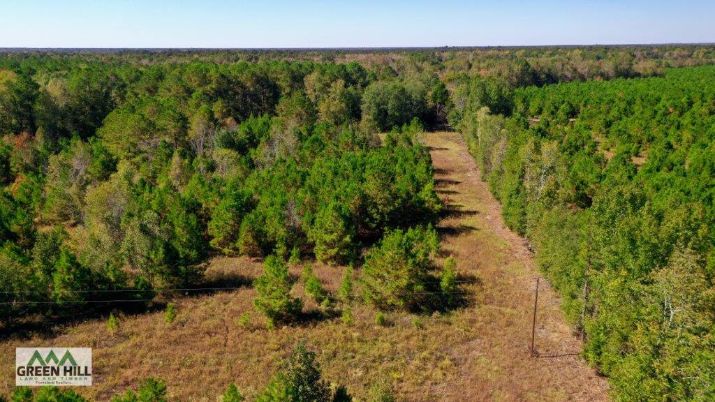 Jenkins County GA 88.5 Acres +/ Green Hill Land & Forestry
