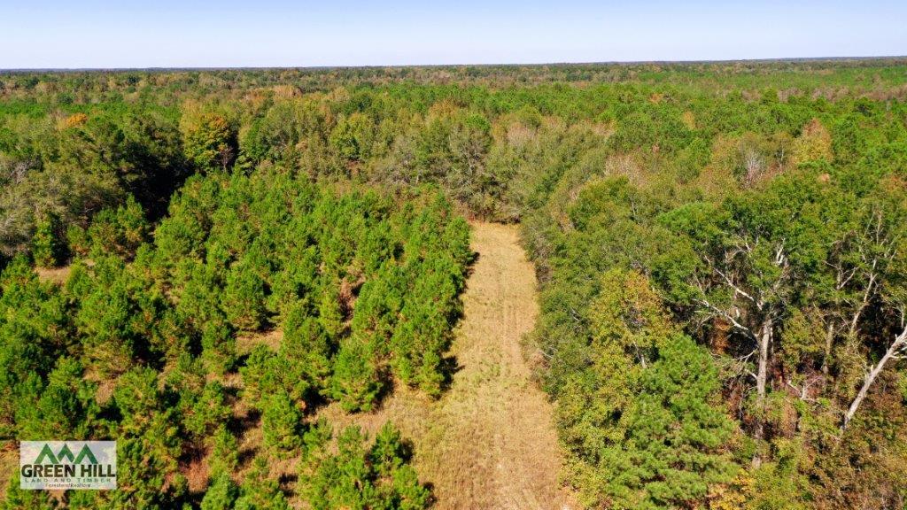 Jenkins County GA 88.5 Acres +/ Green Hill Land & Forestry