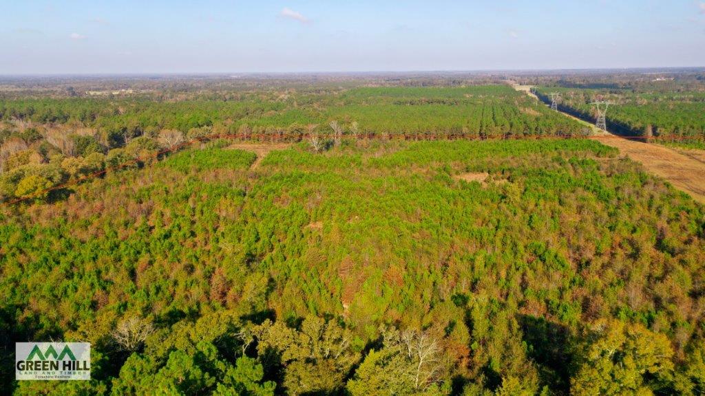 Dodge County GA 101 Acres +/ Green Hill Land & Timber