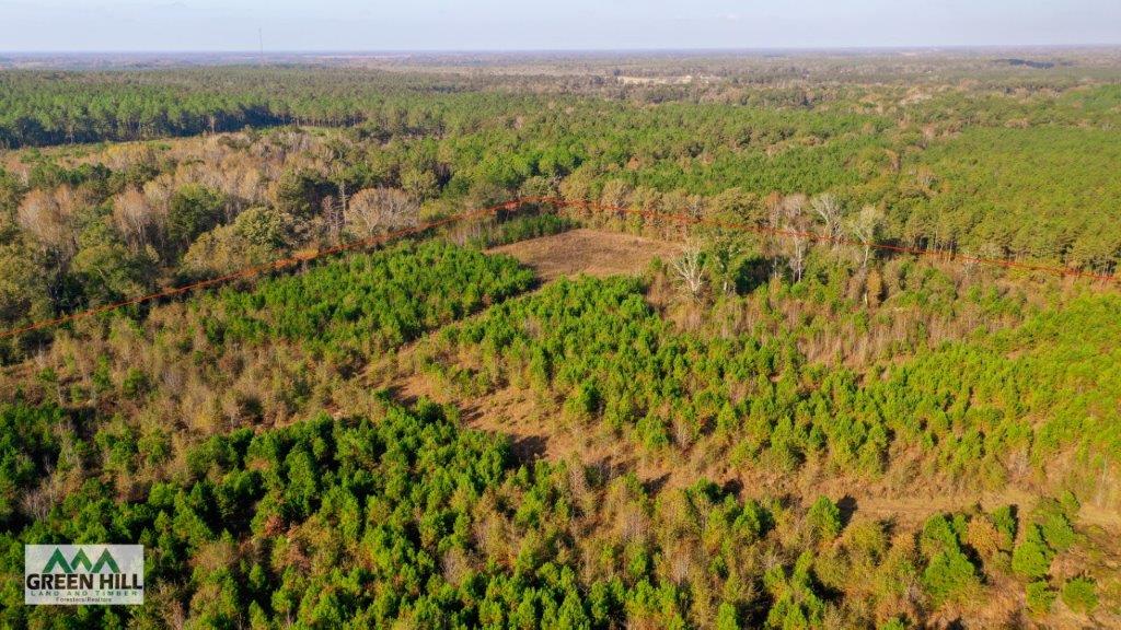 Dodge County GA 101 Acres +/ Green Hill Land & Timber