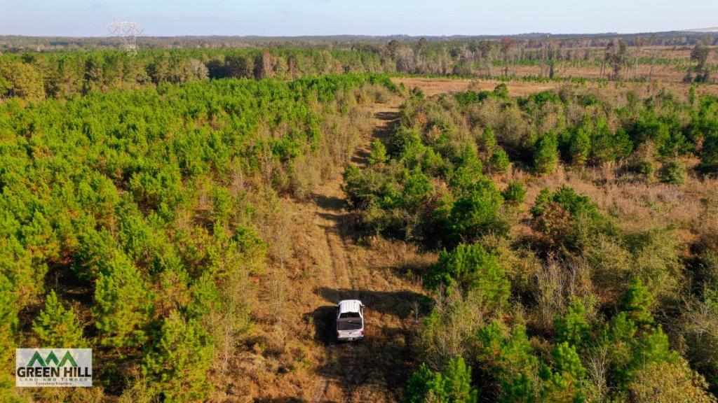 Dodge County GA 101 Acres +/ Green Hill Land & Timber