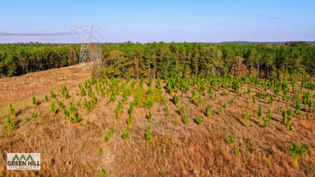 Dodge County GA 101 Acres +/ Green Hill Land & Timber