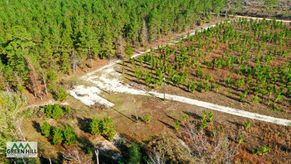 Dodge County GA 101 Acres +/ Green Hill Land & Timber