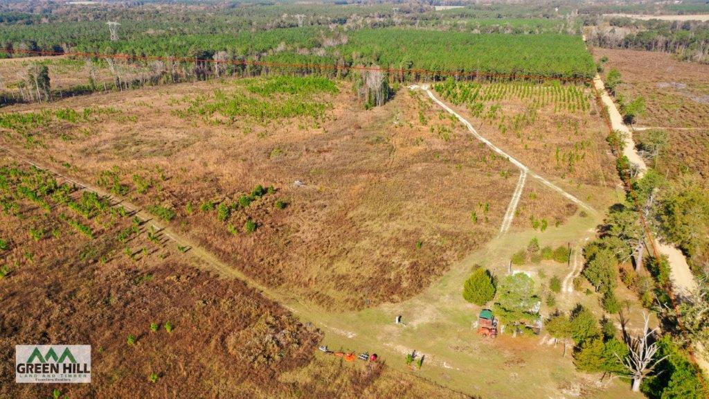 Dodge County GA 101 Acres +/ Green Hill Land & Timber