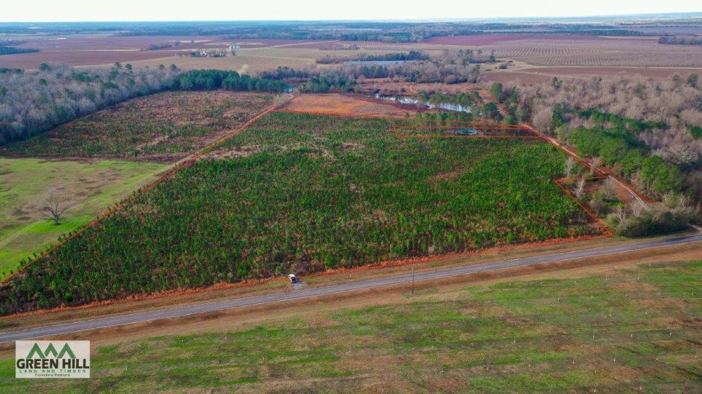 Bleckley County GA 25 Acres +/ Land for Sale Green Hill Land & Forestry