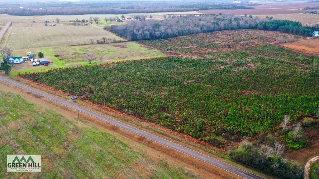 Bleckley County GA 25 Acres +/ Land for Sale Green Hill Land & Forestry
