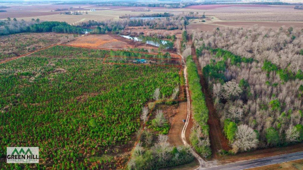 Bleckley County GA 25 Acres +/ Land for Sale Green Hill Land & Forestry