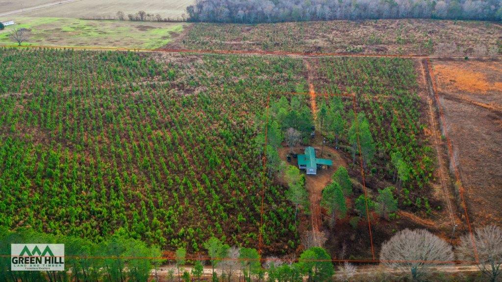 Bleckley County GA 25 Acres +/ Land for Sale Green Hill Land