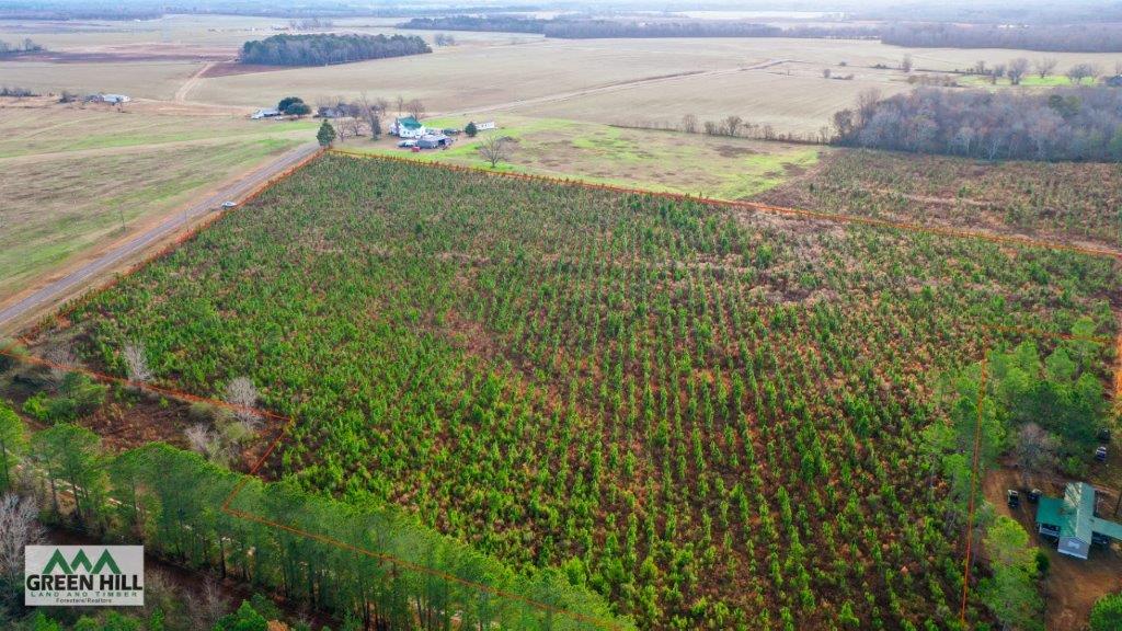 Bleckley County GA 25 Acres +/ Land for Sale Green Hill Land