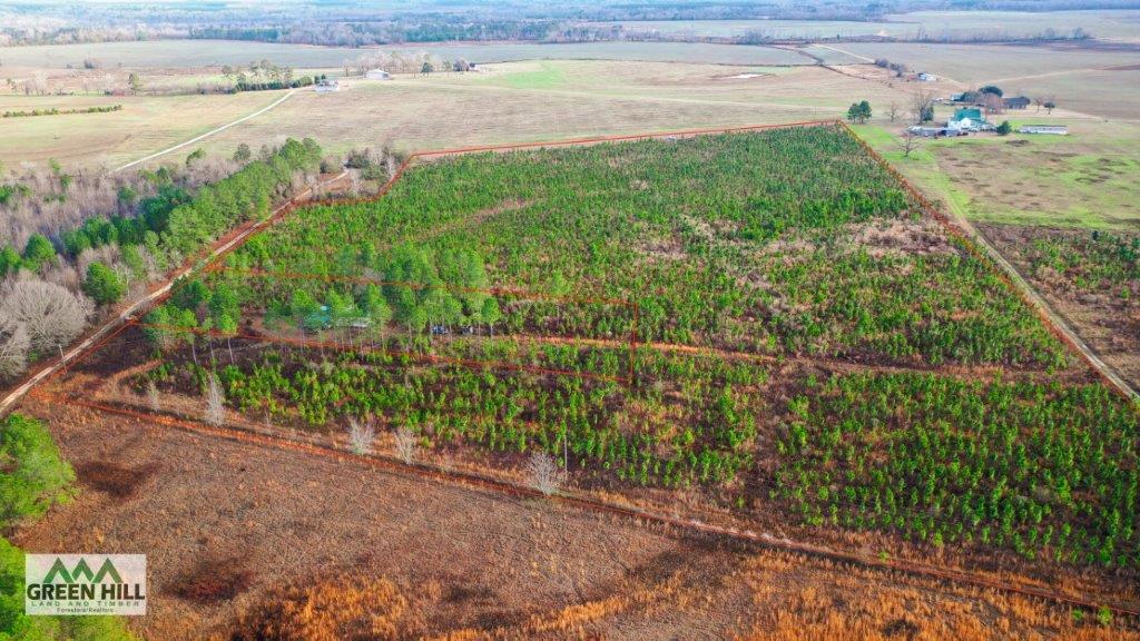 Bleckley County GA 25 Acres +/ Land for Sale Green Hill Land