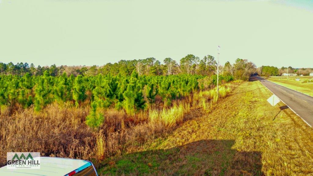 Bleckley County GA 25 Acres +/ Land for Sale Green Hill Land & Forestry